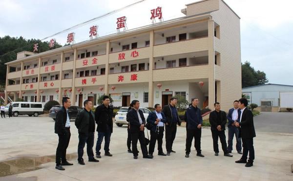 201911141573703874100496.jpg 5.jpg